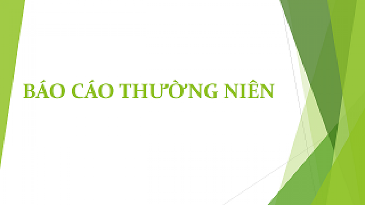 Báo cáo thường niên 2017