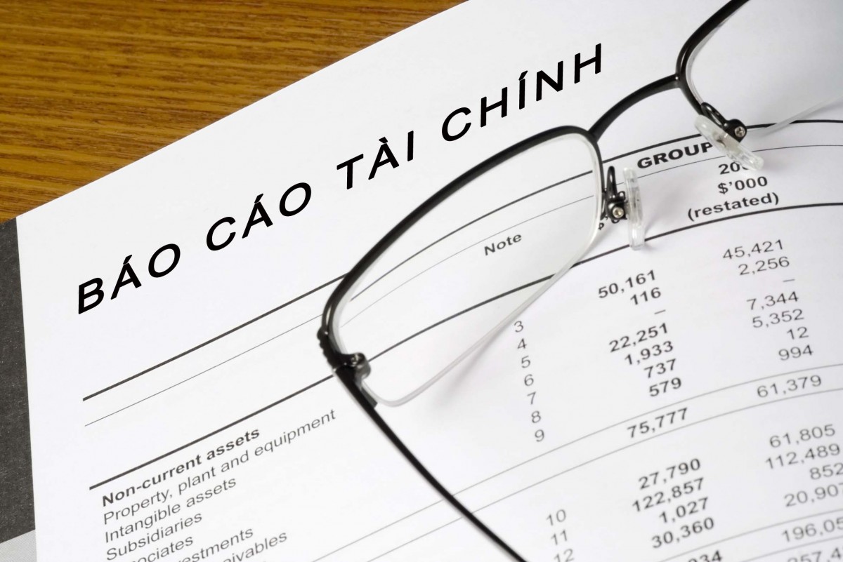 Báo cáo tài chính năm 2017 đã kiểm toán