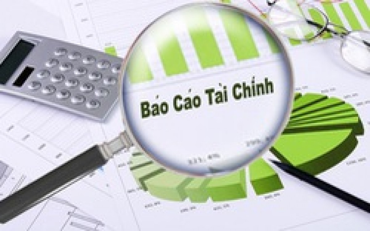 Báo cáo tài chính năm 2019 đã kiểm toán